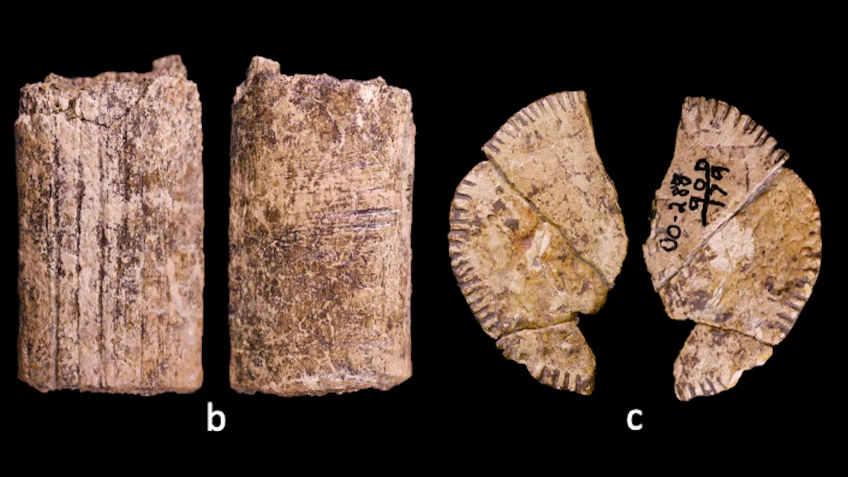 Scientists May Have Uncovered The World’s Oldest Dice : ScienceAlert
