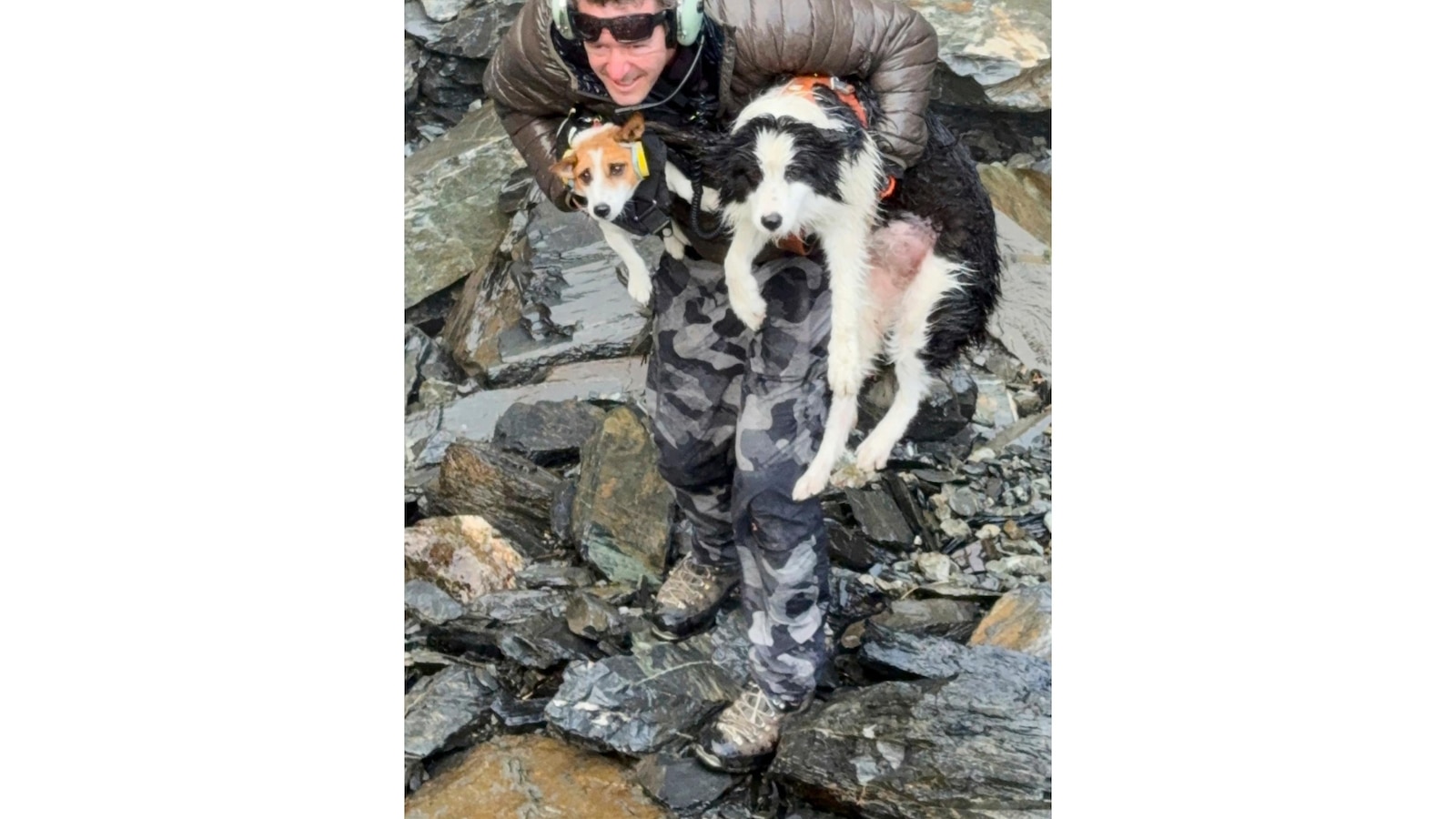 Hiker’s dog lost in forest rescued by helicopter after strangers fund search