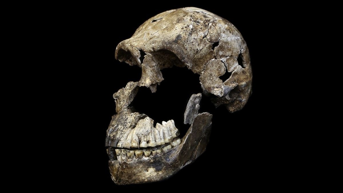 A Controversial Ancient Human Burial Site Just Got More Mysterious : ScienceAlert