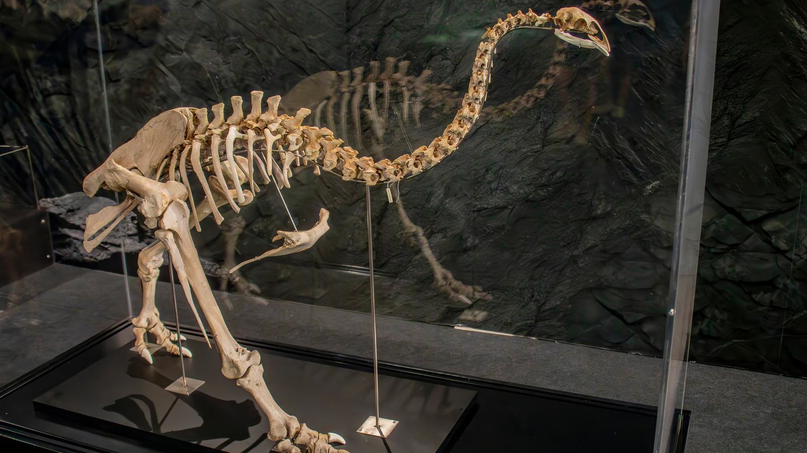Scientists Are Using 3D Printing To Try And Bring Back Extinct Animals
