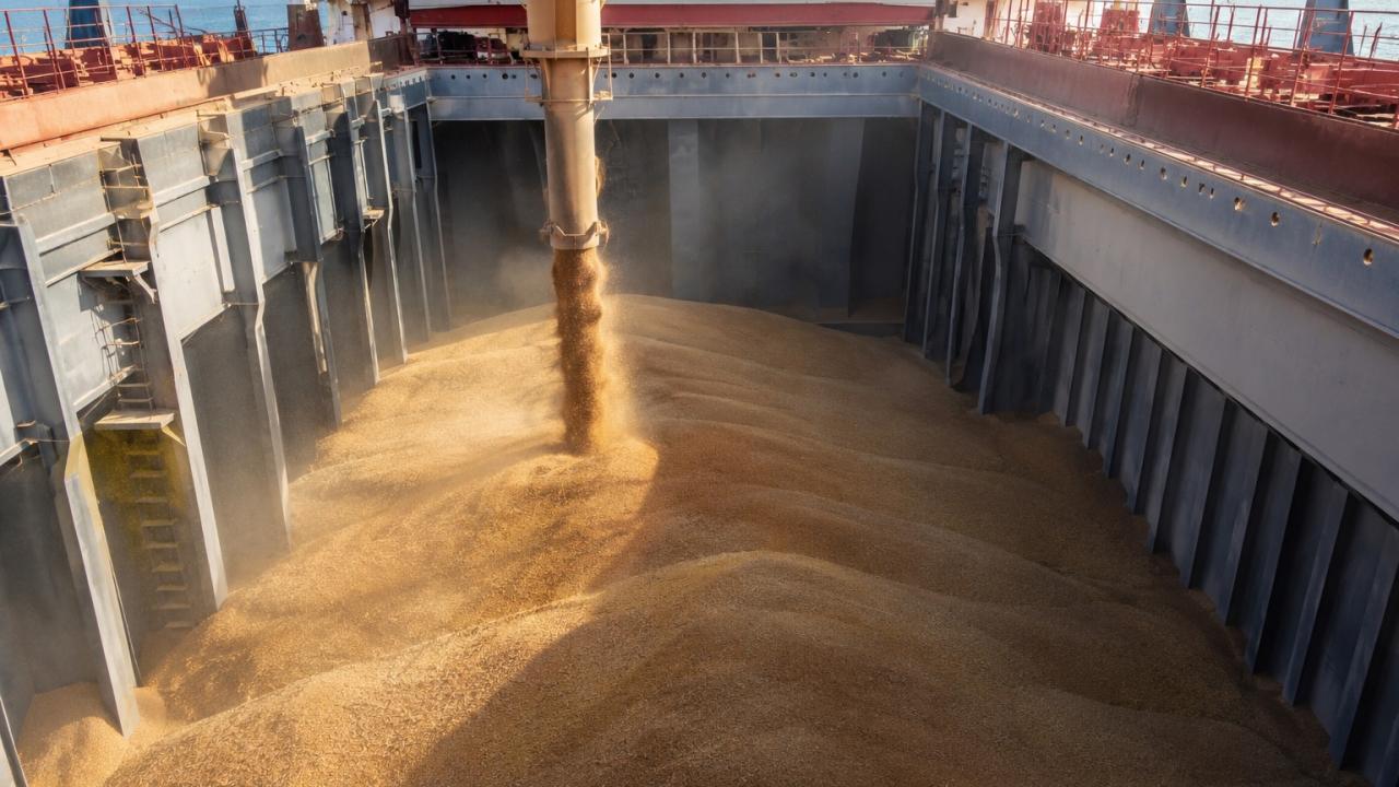 Indonesia Looks to Expand Trade With Russia After EAEU Free Trade Deal